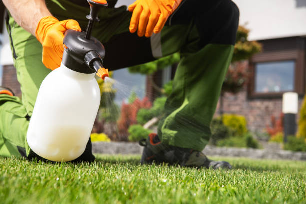 Best Insect Control  in Chula Vista, TX