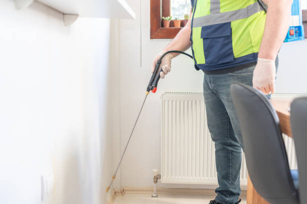 Best Mosquito Control Services  in Chula Vista, TX