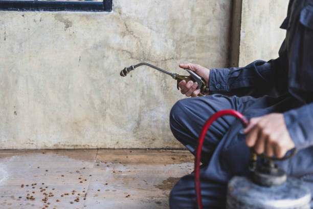 Reliable Chula Vista, TX Pest Control Solutions